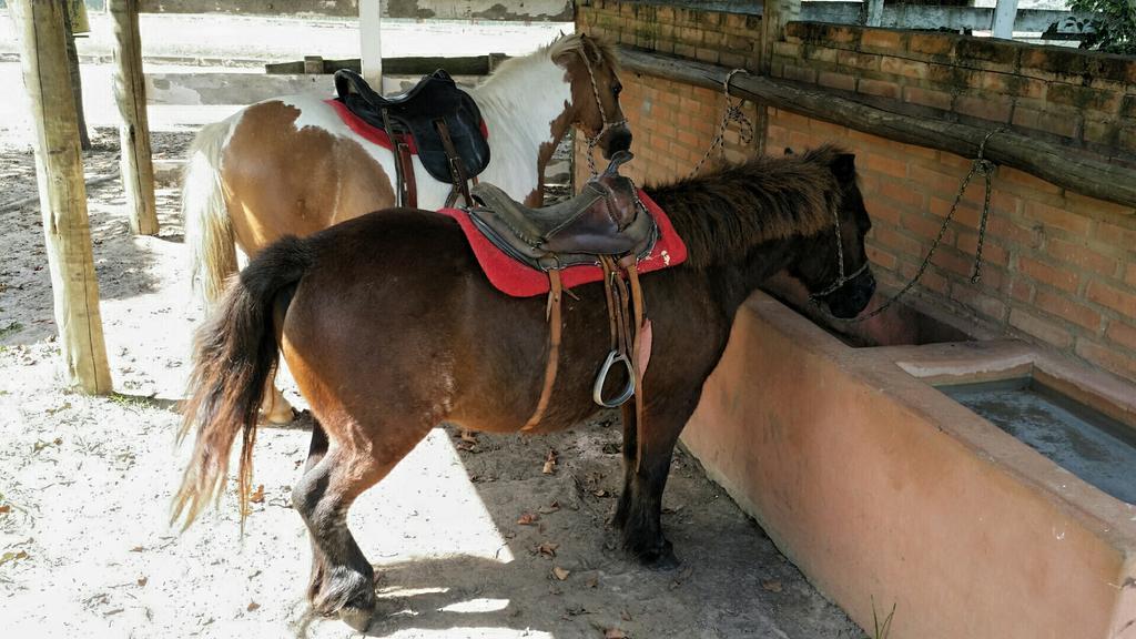 Pousada Suites Águas de São Pedro Zewnętrze zdjęcie